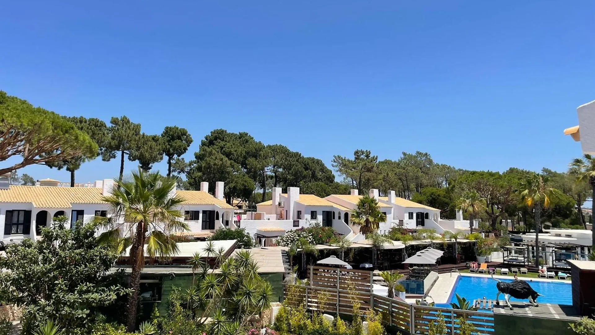 Apartamentos Honorio - Pool And Garden Vilamoura